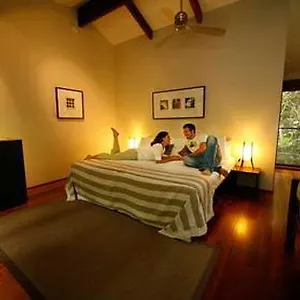 & 4*, Cape Tribulation Australia